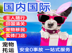 腾鳌航空物流国际宠物托运 【国